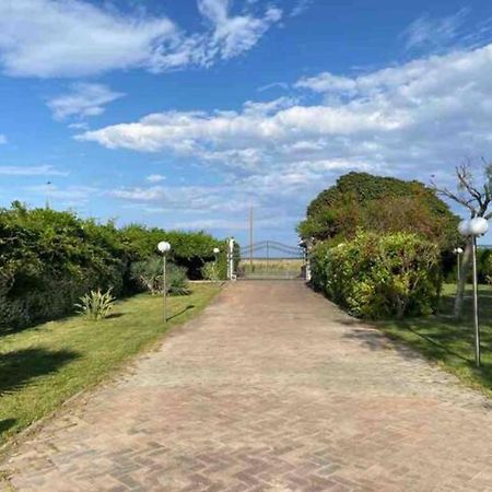 Villa Rosella Appartamento 2 - Con Piscina - 150 M Dal Mare Casa Margherita Eksteriør bilde