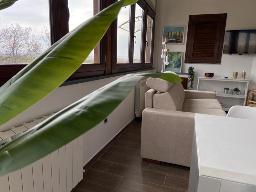 Villa Rosella Appartamento 2 - Con Piscina - 150 M Dal Mare Casa Margherita Eksteriør bilde